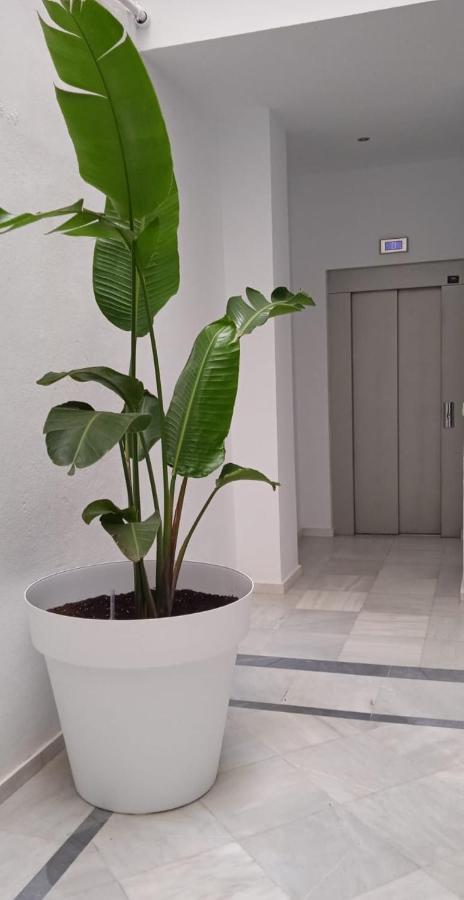 El 2 De Flamenco Atico 3ºb Apartment Cadiz Exterior photo